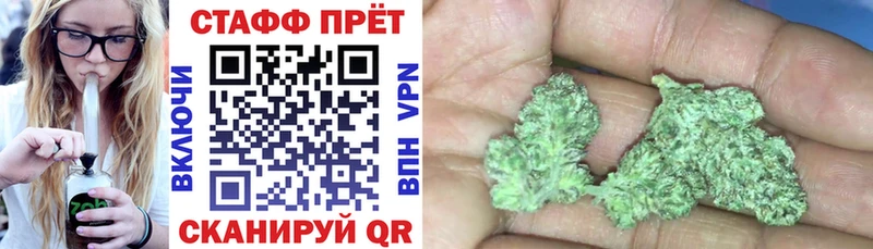 Где купить наркоту Кологрив Гашиш  Псилоцибиновые грибы  Меф  Каннабис  КОКАИН 