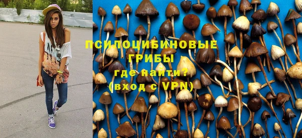 молекула духа Надым