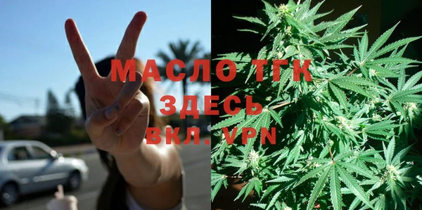 молекула духа Надым