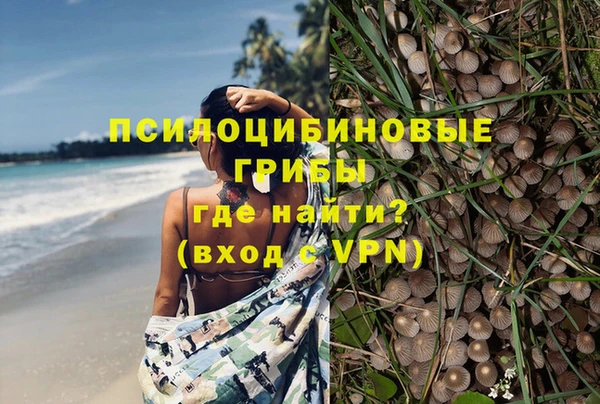 прущие крисы Михайловск