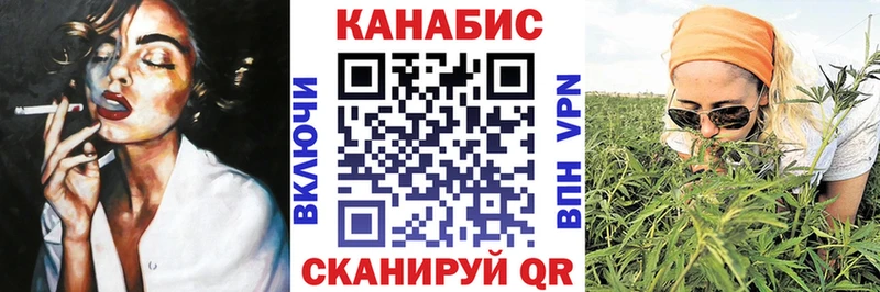 Каннабис сатива Кологрив